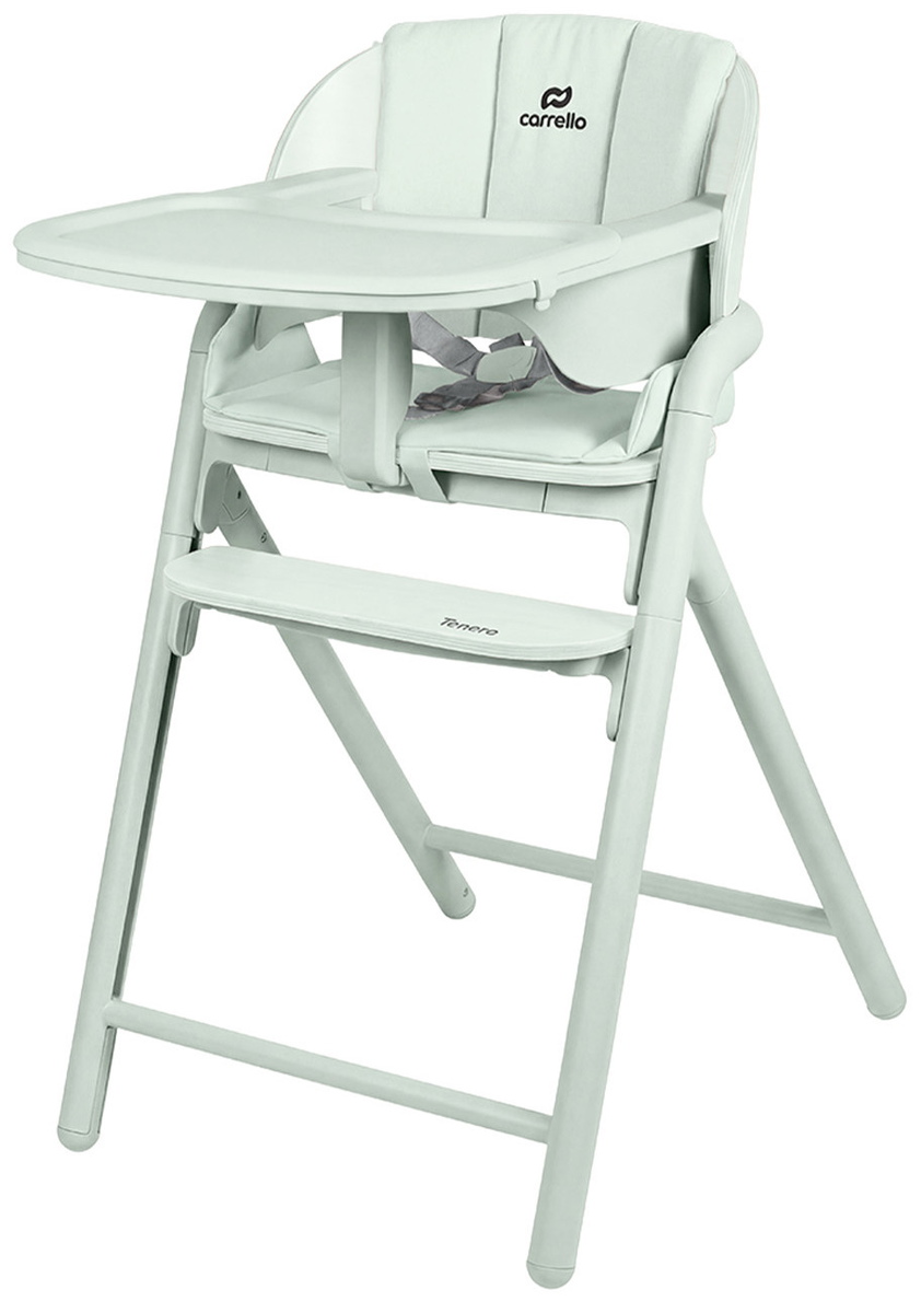 Стульчик для кормления Carrello Tenero CRL-9507 3 в 1 Elysium Green