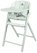 Стульчик для кормления Carrello Tenero CRL-9507 3 в 1 Elysium Green