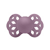 421300 Mauve