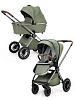 S760/2 Olive
