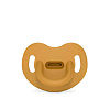 308077 MUSTARD