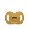 308089 MUSTARD