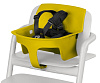 Canary Yellow